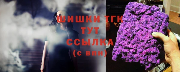 тгк Армянск