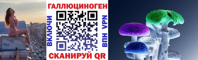 где найти   Чердынь  Галлюциногенные грибы MAGIC MUSHROOMS 