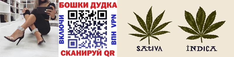 блэк спрут   наркотики  Чердынь  Марихуана сатива 